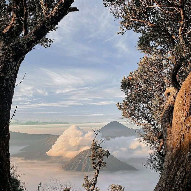 The sacredness of Mount Bromo