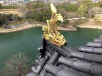 🏯일본 소도시 오카야마 여행 '오카야마성'