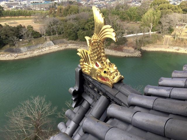 🏯일본 소도시 오카야마 여행 '오카야마성'