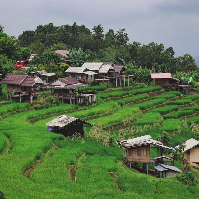 บ้านป่าบงเปียง สัมผัสสีเขียว สีสันแห่งธรรมชาติ