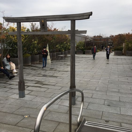 天空の憩い場【つばめの杜ひろば】