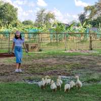 คาเฟ่โฮมมี่น่ารักที่ลำพูน || Judy's home cafe