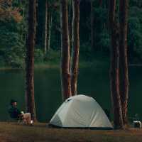 ปางอุ๋ง จ.แม่ฮ่องสอน 🌲🦢