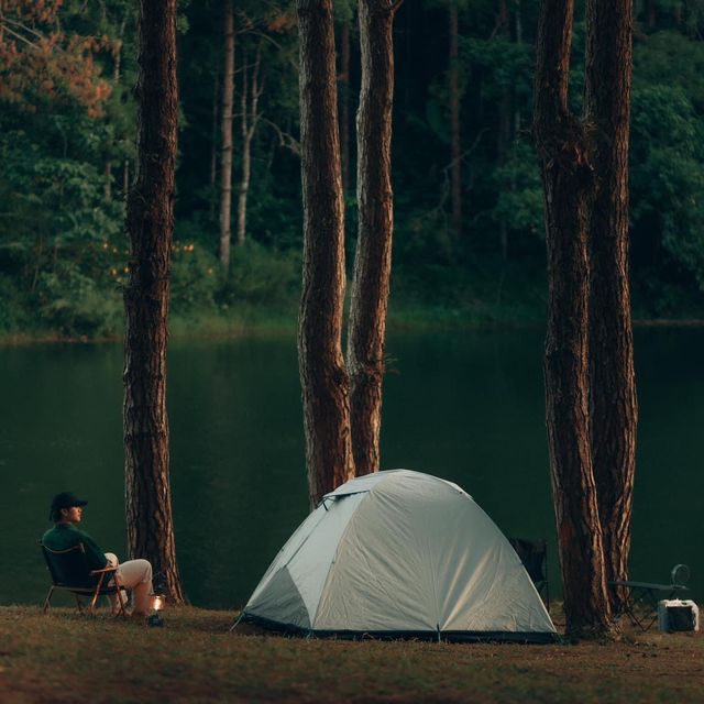 ปางอุ๋ง จ.แม่ฮ่องสอน 🌲🦢
