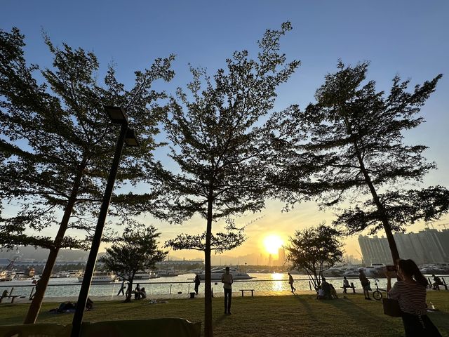 本地遊 | 觀塘海濱公園 | 不同季節不同時段的景致