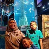 School Holidays Activities at Aquaria KLCC