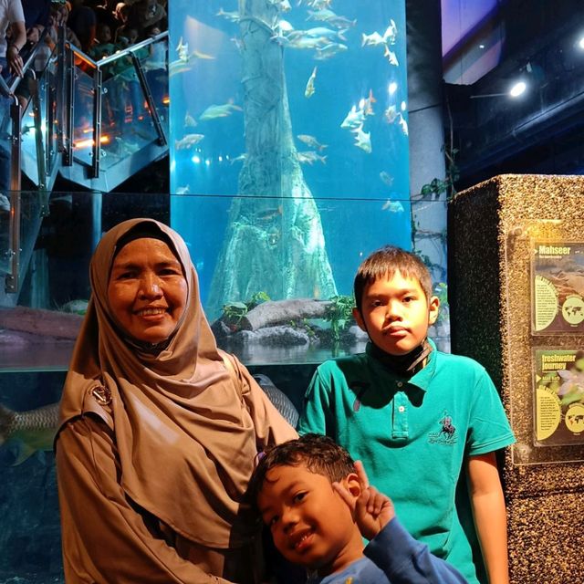 School Holidays Activities at Aquaria KLCC