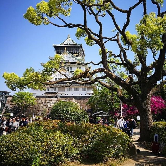 來感受一下歷史名城大阪城堡🌿