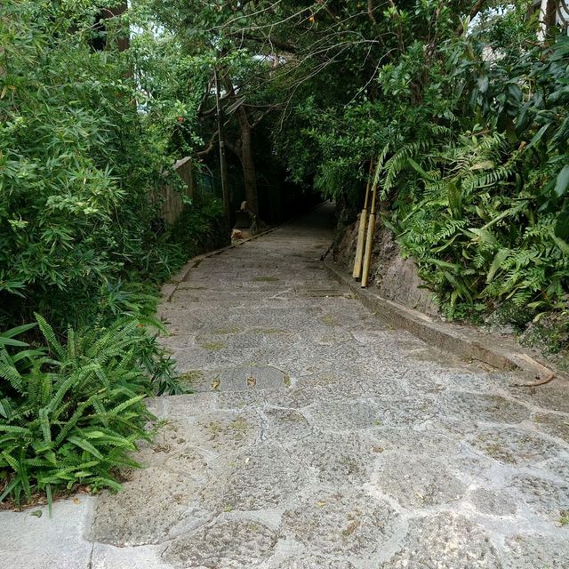 首里金城石畳道「真珠道」