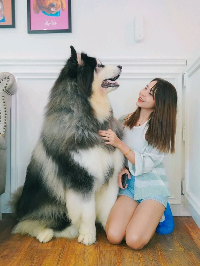Husky House Cafe ชลบุรี