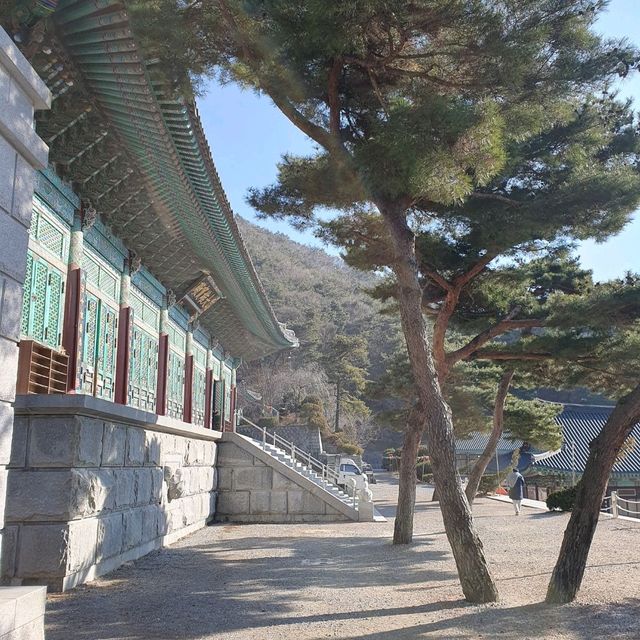 마음이 평온해지는 천안 각원사