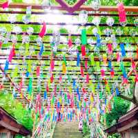福岡県❣️かえる寺で人気のHAPPY寺！