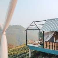 Glamping บนดอยกลางไร่ชาสุดปัง