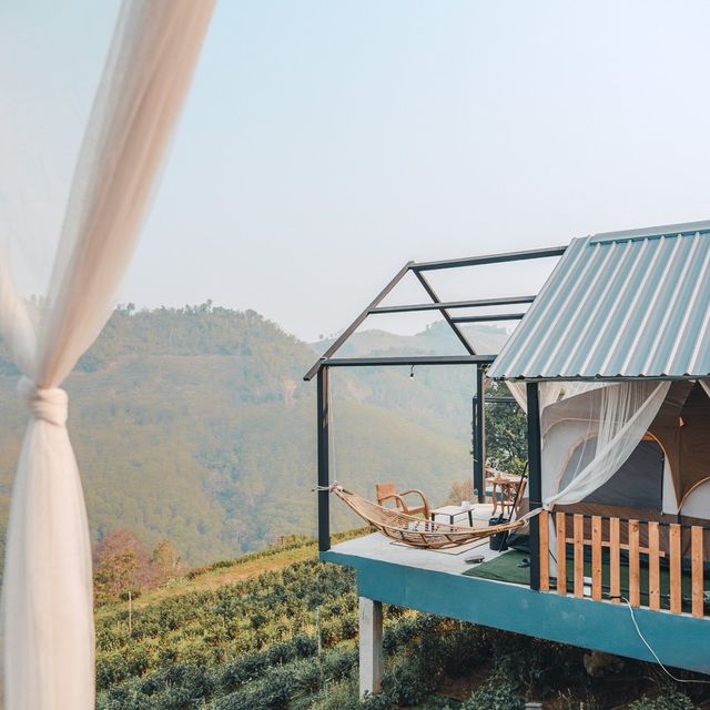 Glamping บนดอยกลางไร่ชาสุดปัง