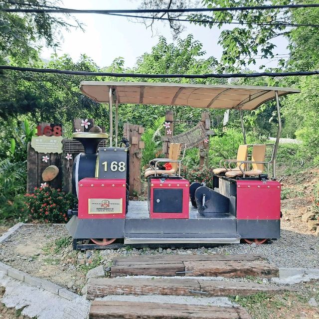 苗栗 | 搭乘舊山線鐵道自行車來欣賞歷史古蹟「龍騰斷橋」，從高空遠眺相當震撼！