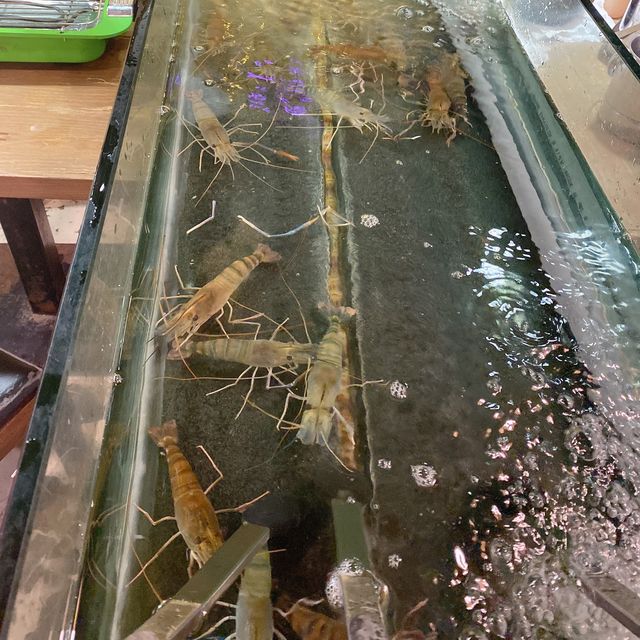 冬日暖笠笠去食游水蝦BBQ