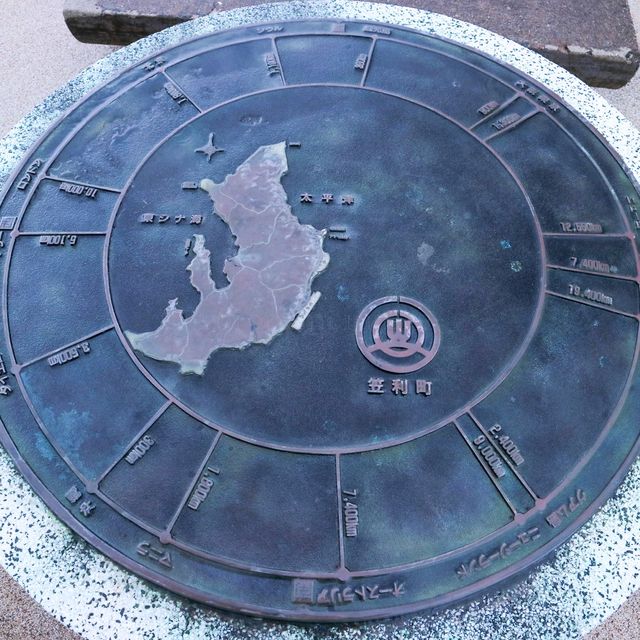 カフェも併設！奄美大島の観光案内所！