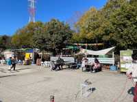 川島パーキングエリアにあるかなり大きい公園！【河川環境楽園】