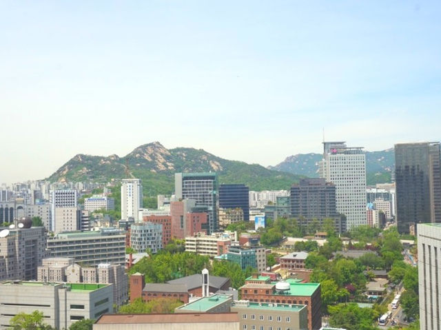 시청역 핫플 뷰가 예쁜 카페