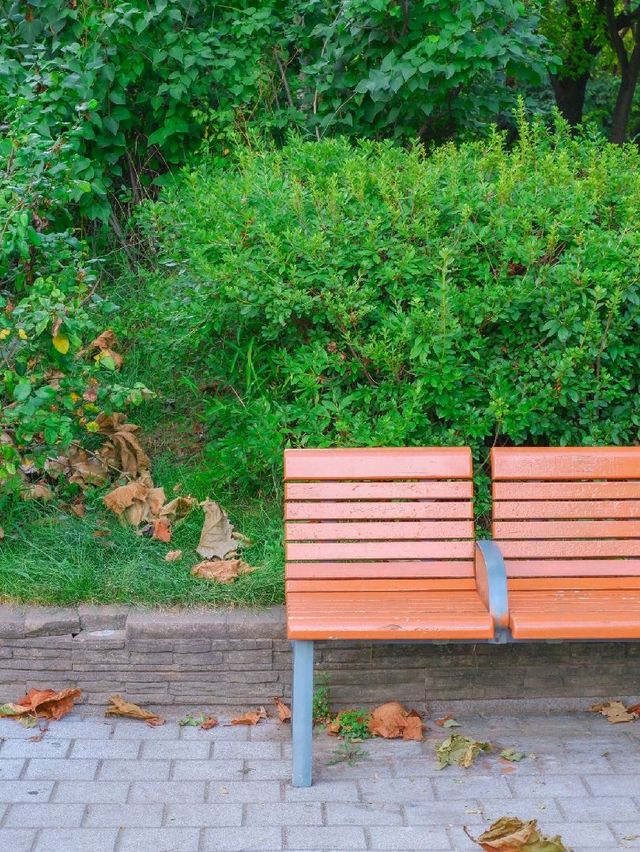 부평 신트리공원, 여유로운 산책길 부평 신트리공원, 여유로운 산책길