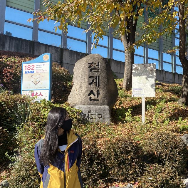 가볍게 오르기 좋은 등린이 추천산 , 청계산⛰