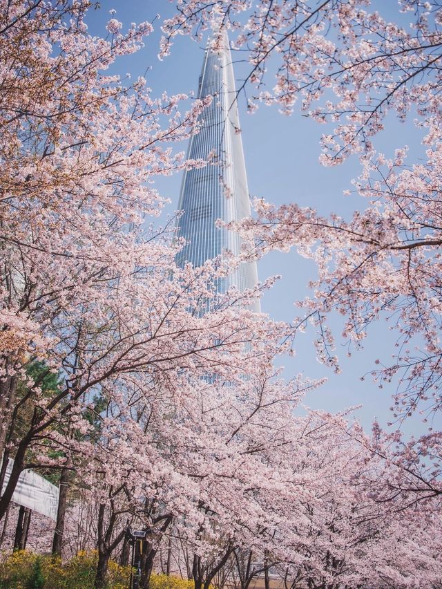 동화속 세상에 온 것만 같은 서울 여행지