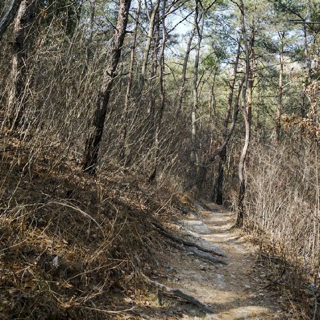 부안 봄여행 내변산 등산