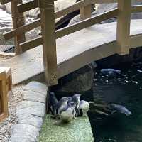 SEA LIFE 선샤인코스트 수족관 , SEA LIFE Sunshine Coast Aquarium
