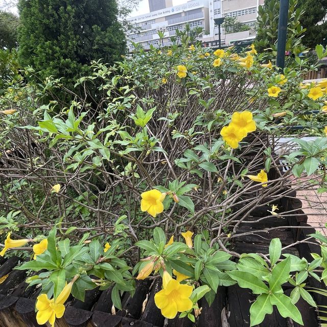 賞花看海好去處👍