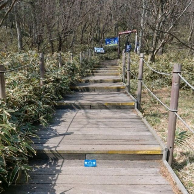 한라산을 느껴볼 수 있는 어승생악