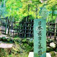 【京都】日本最古の茶園