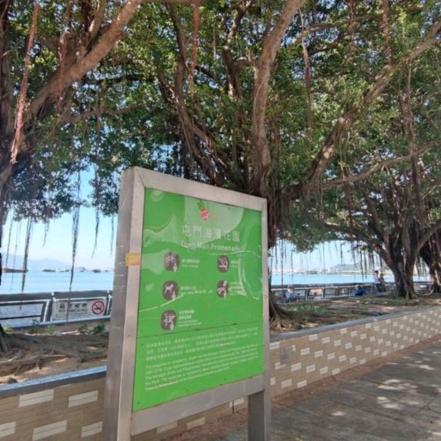 日出瀟灑🌅黃昏浪漫💐