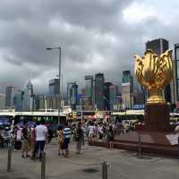 The Golden Bauhinia Square