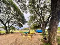 323 Camp & Slow bar cafe
