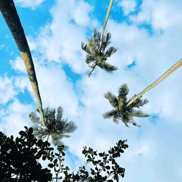 ⛱️☀️ อัญญาวี กระบี่ บีช รีสอร์ท 🌊