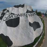 DESA DAIRY FARM KOTA KINABALU 