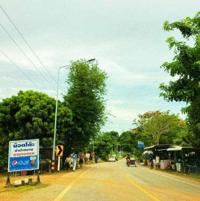 ⭐⭐ยำปากบาน แบบสดๆ แซ่บๆ⭐⭐