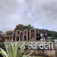 Beautiful Sirao - Garden of the South!