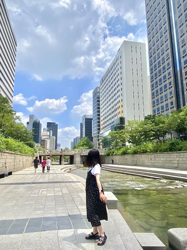 여름에는 청계천에서 탁족을☀️💦