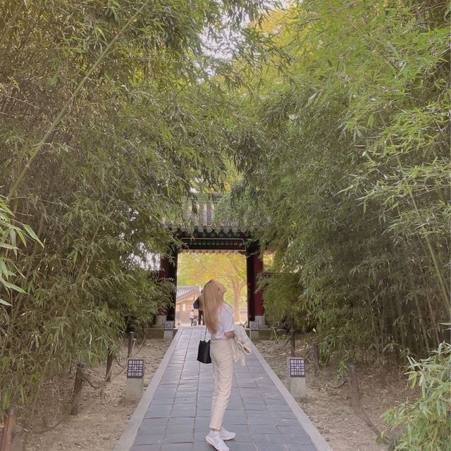 전주여행에 빠질수 없는 필수 코스 ’경기전’