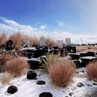 Blooming experience in the winter 