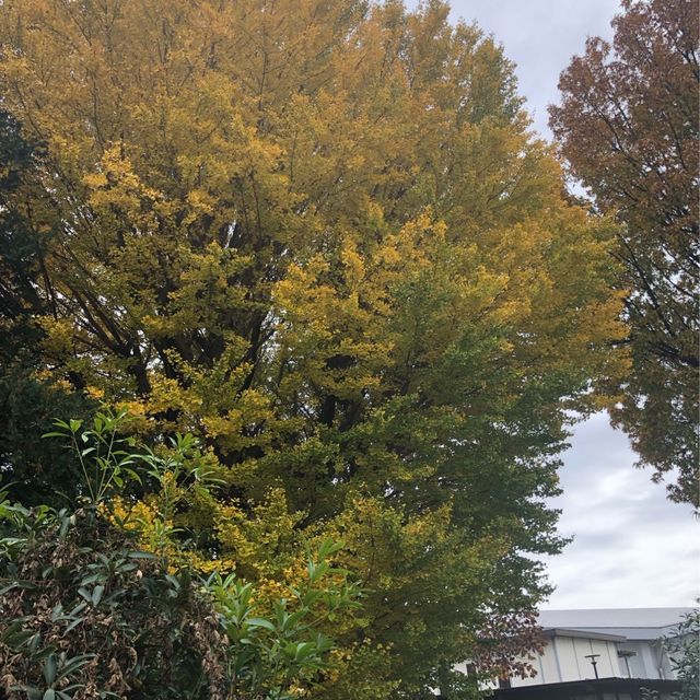【一橋学園駅】昭和を訪ね歩く。