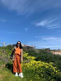 Port Willunga, Adelaide 