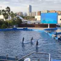 Oceanographic Valencia 