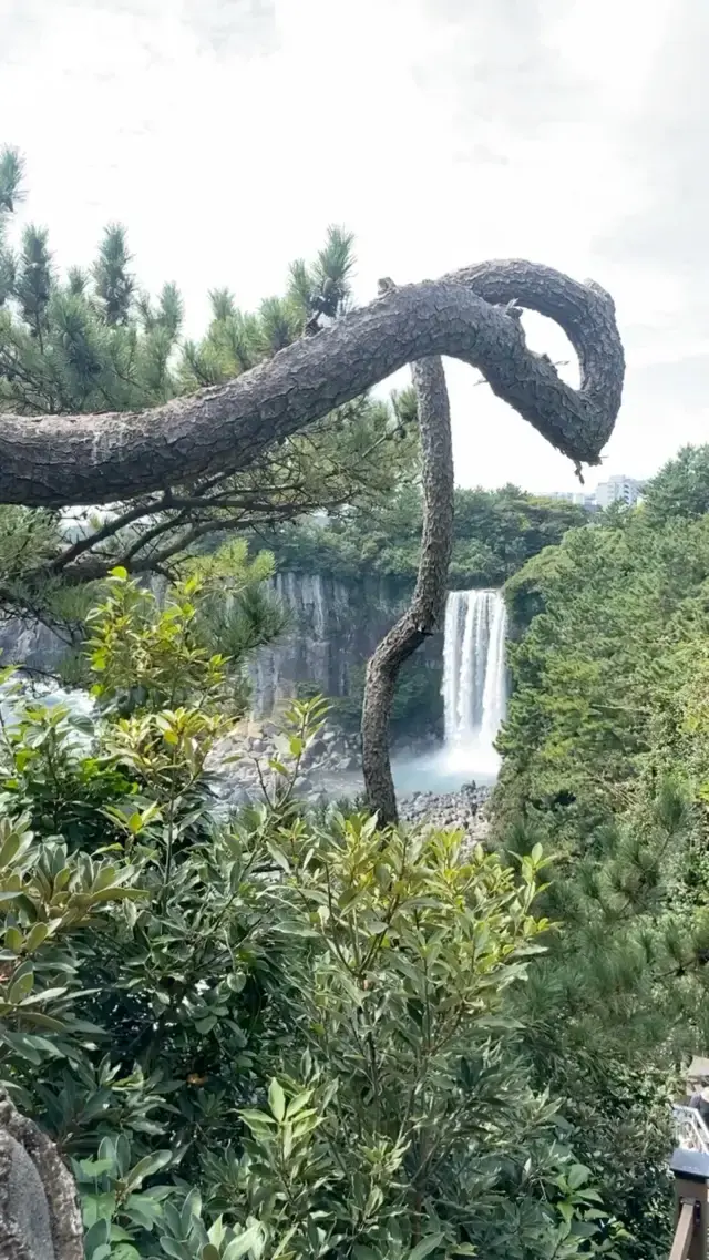 Amazing waterfall in Jeju