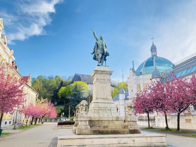 🌸 SPRING HAS SPRUNG IN MISKOLC 🌸