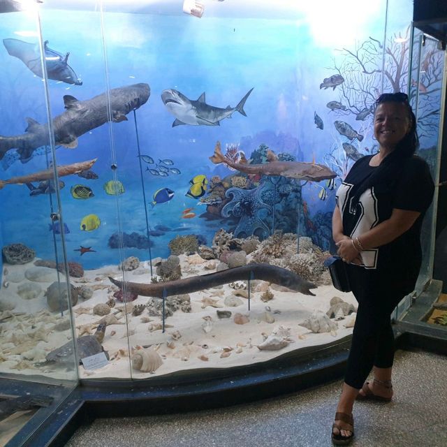 Amazing zooalogical museum 