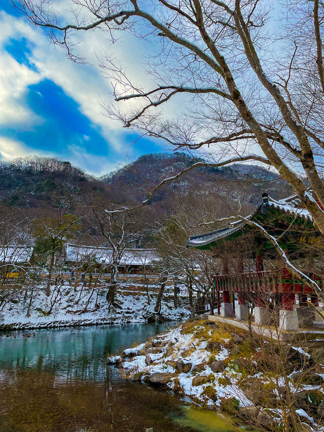 아름다운 설경, 장성 백양사