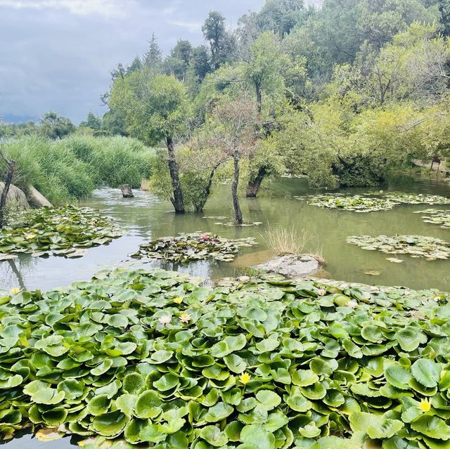 Wufeng Pavilion | Lijiang 