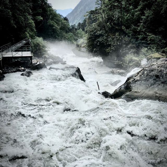 Hailuogou Glacier Rainforest Walkway 